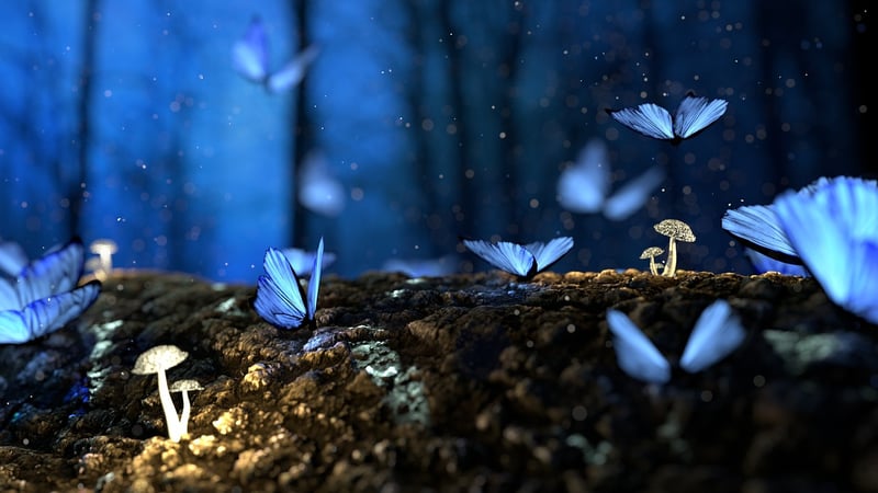 Fairytale Forest